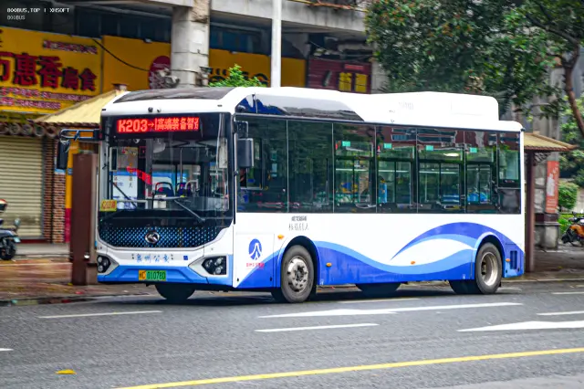 闽C 01078D