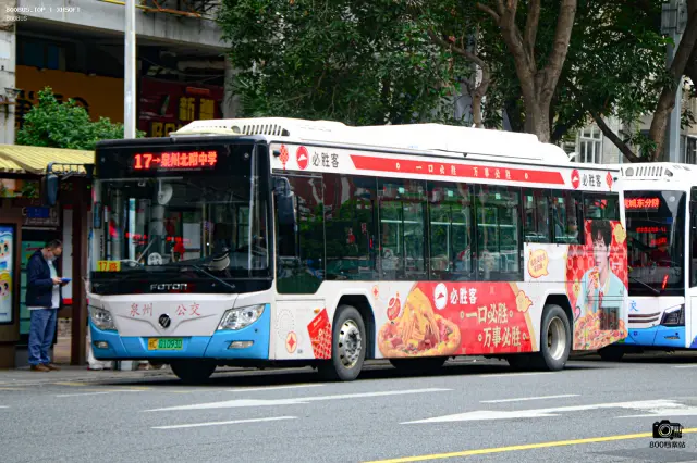 800BUS