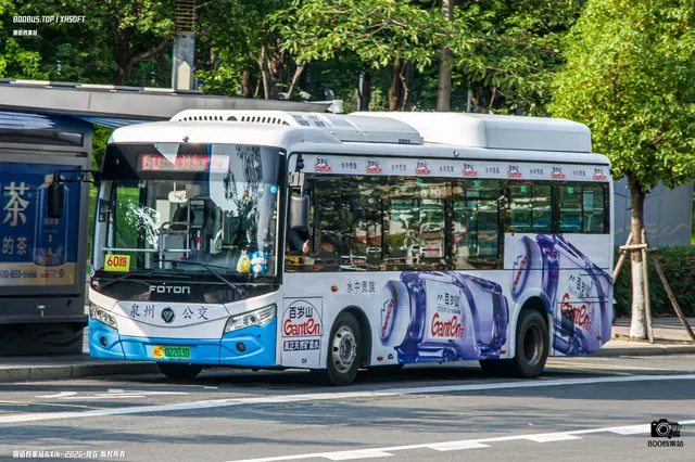 800BUS