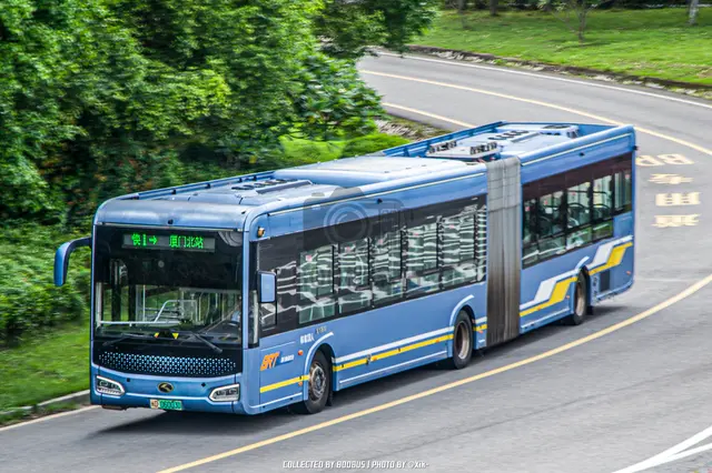 闽D 06003D