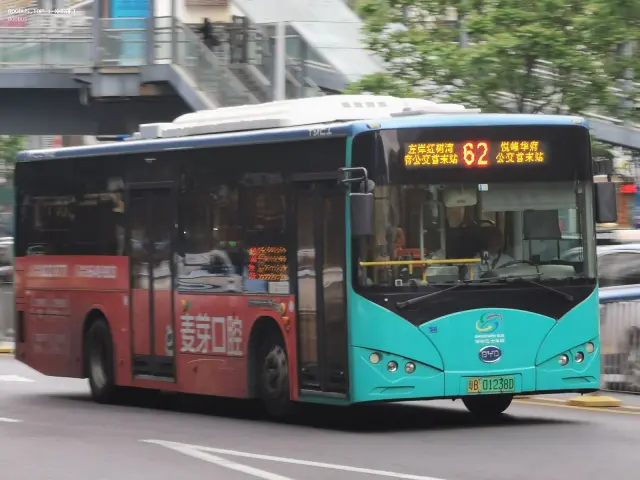 粵B 01238D