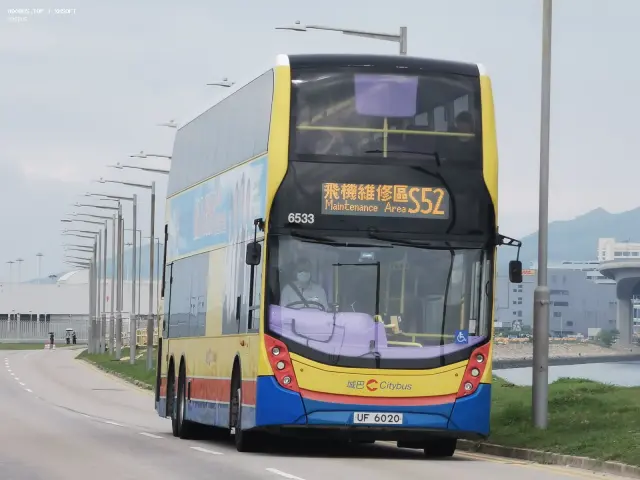 800BUS