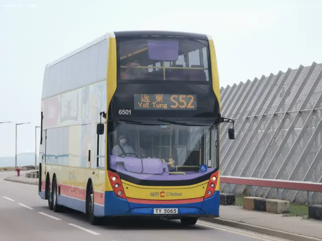 800BUS