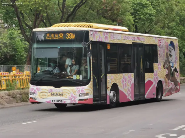 800BUS