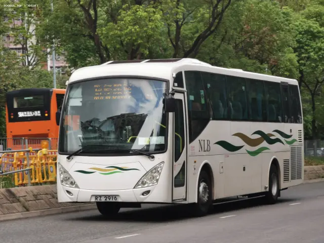 RZ 2916