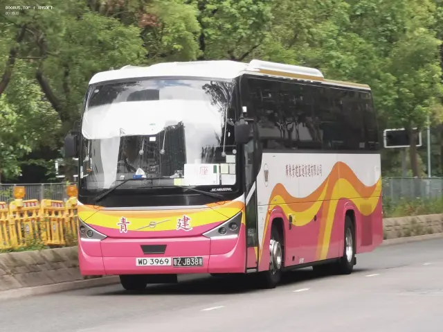 800BUS