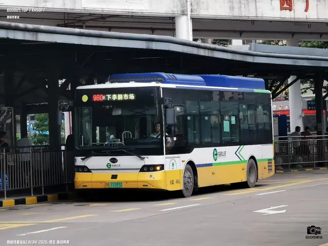 粵B 77395D