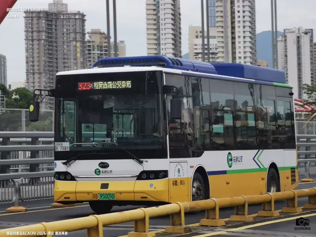 粵B 95009D