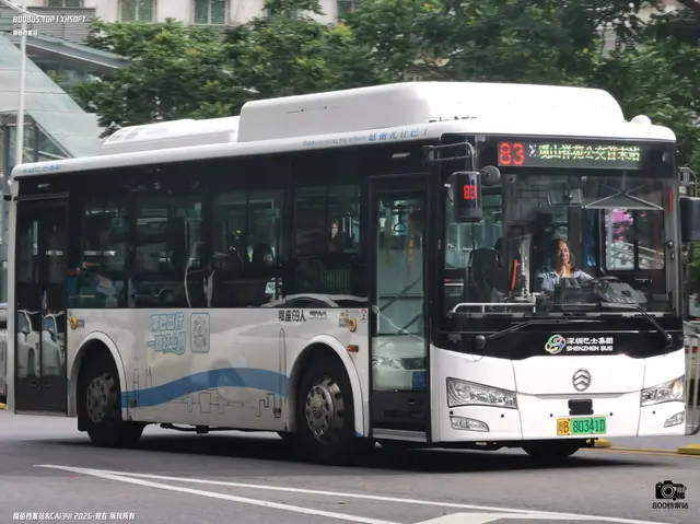 粤B 80341D