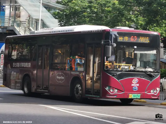 粤B 38029D