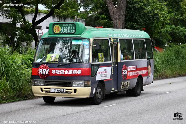 LS 6613