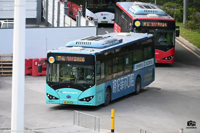 800BUS