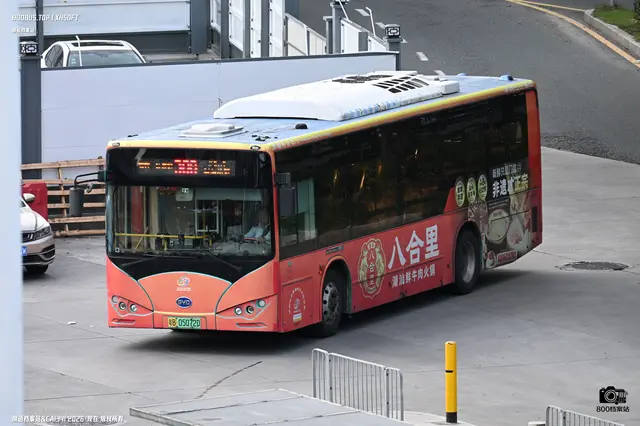 800BUS