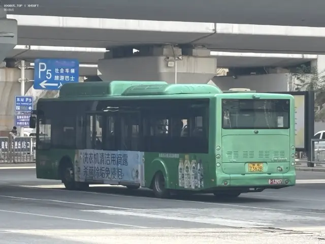 800BUS