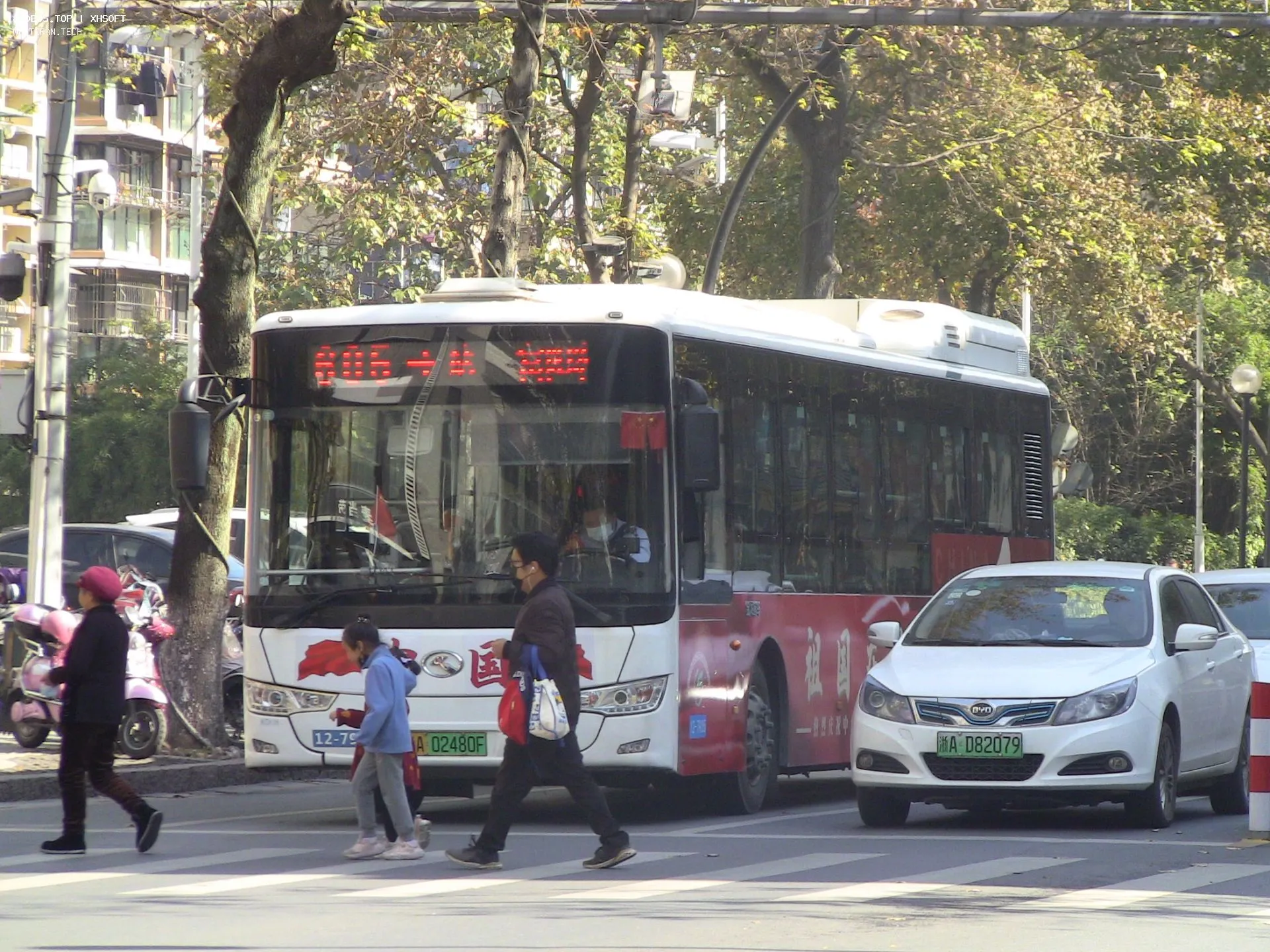 Bus Archive