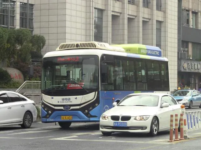 浙A8J408