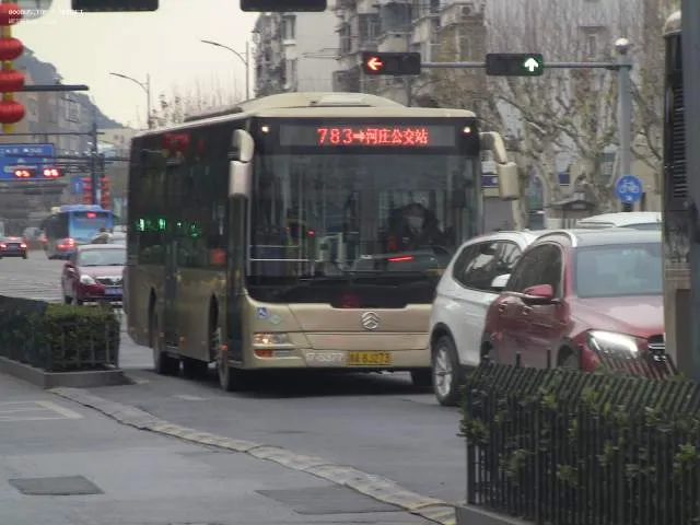浙A8J273