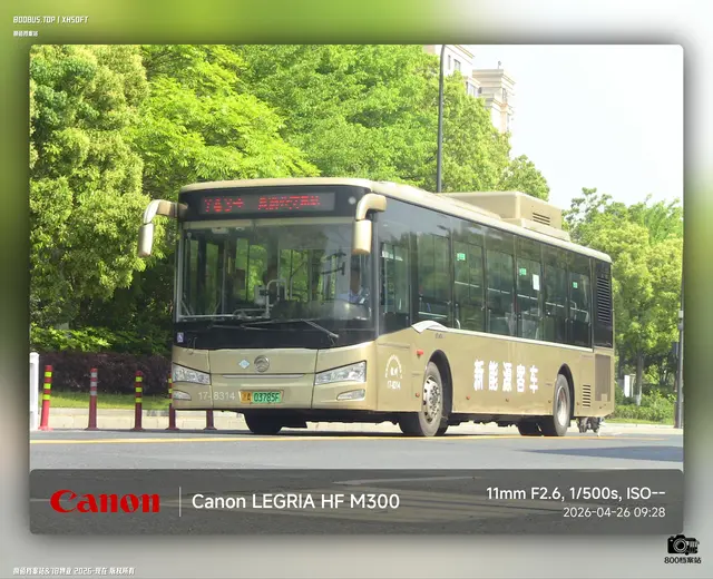 800BUS