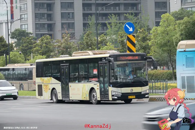 浙A 7P797