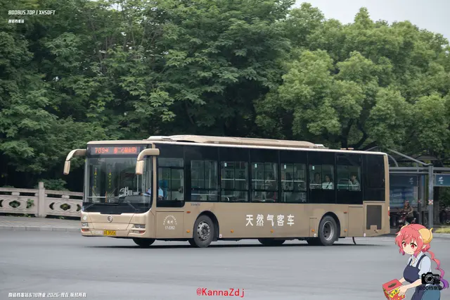 浙A 3M206