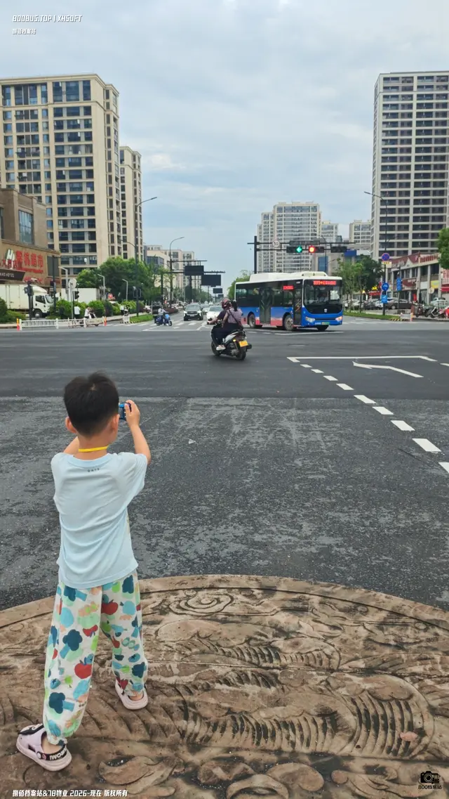 800BUS