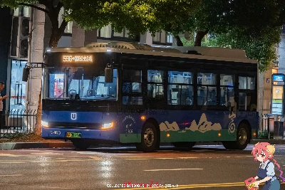 浙A 36735D