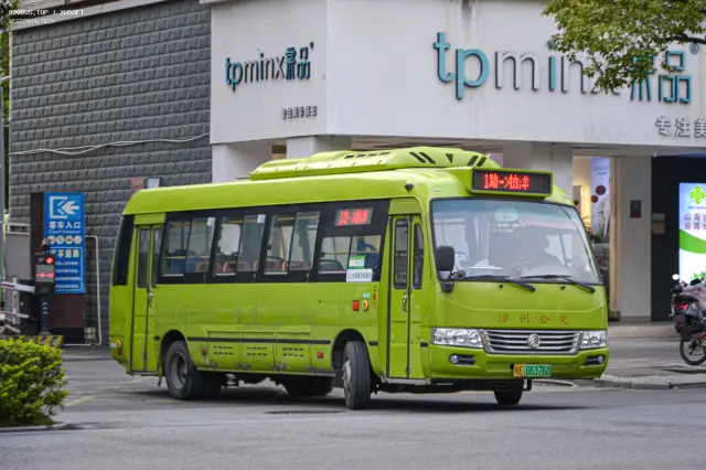 800BUS