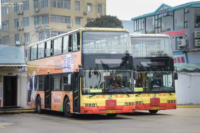 闽D Z7363