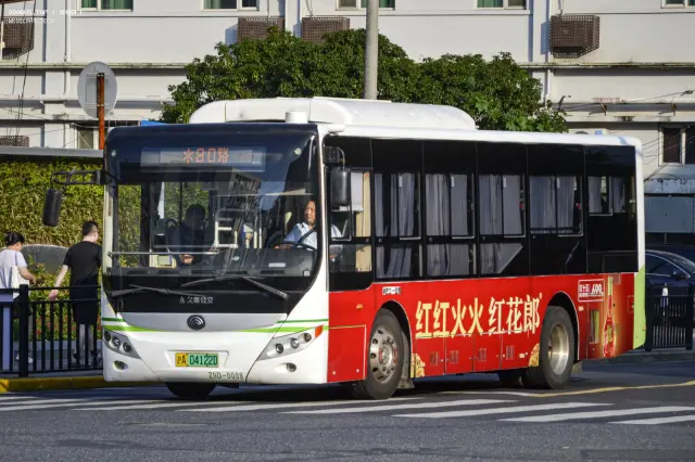 800BUS