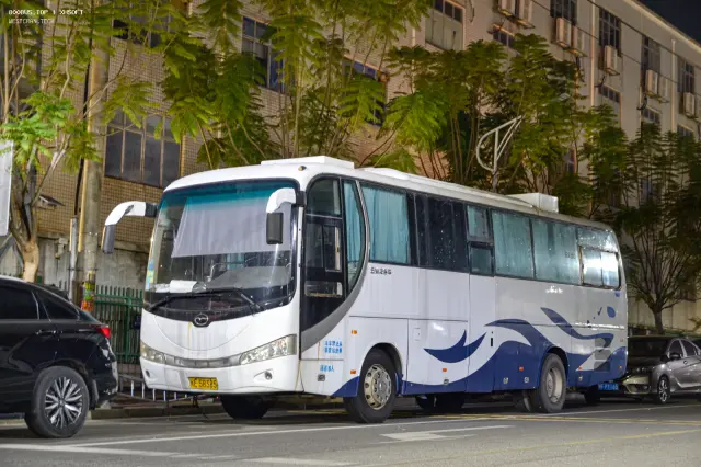 800BUS