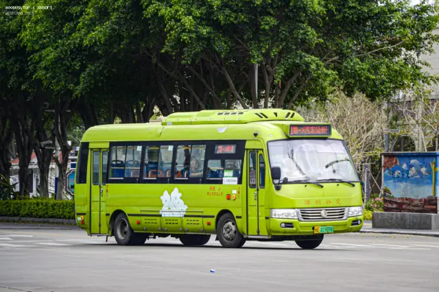 800BUS