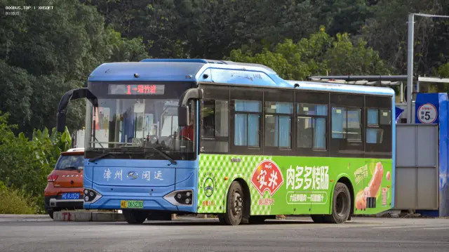 800BUS