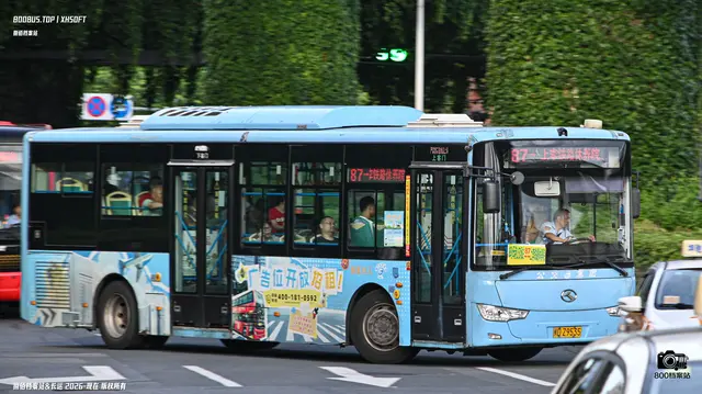 闽D Z9535