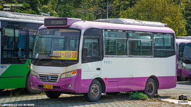 闽E Y2667