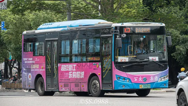 800BUS