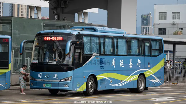 闽A 03685D