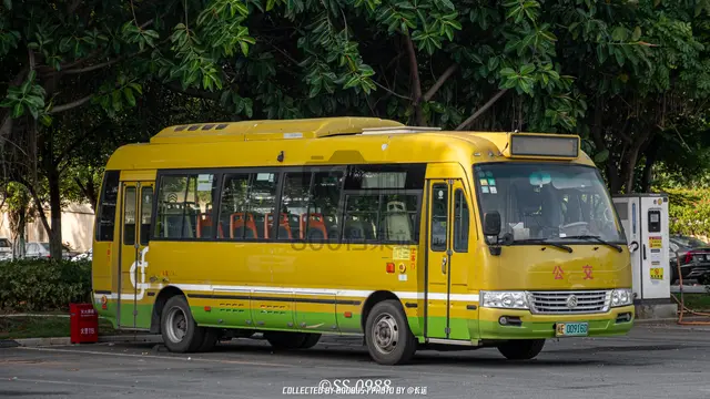 闽E 00916D