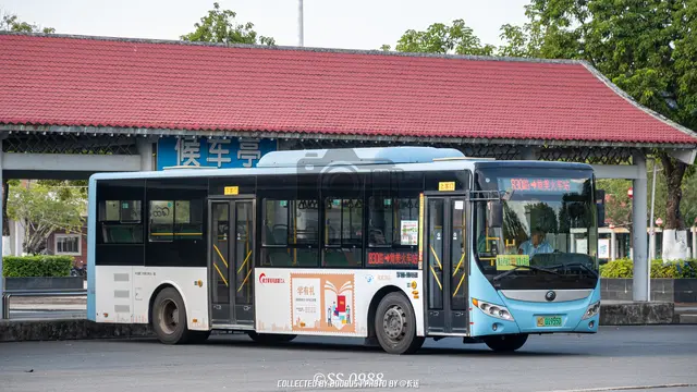 闽D 01955D