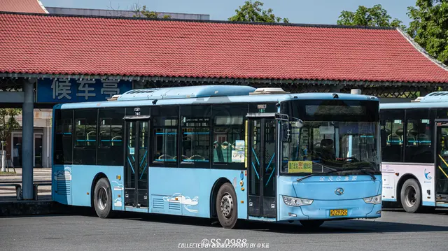 闽D Z9195