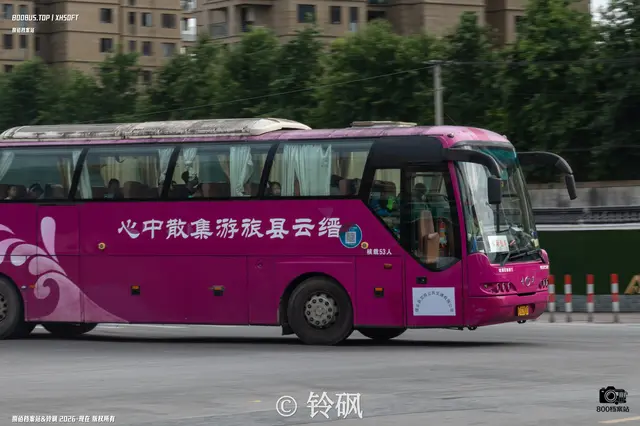 浙K G2800