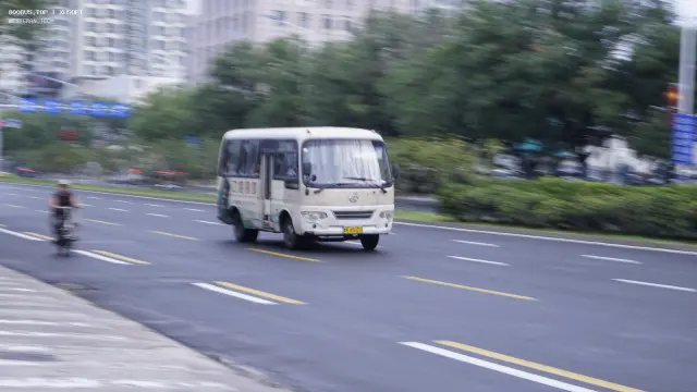 800BUS