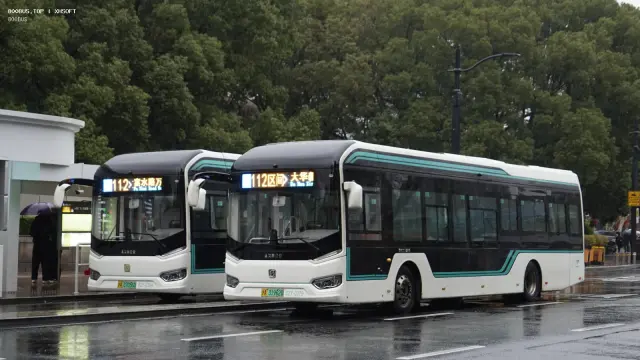 沪A 07056D /沪A 31962D