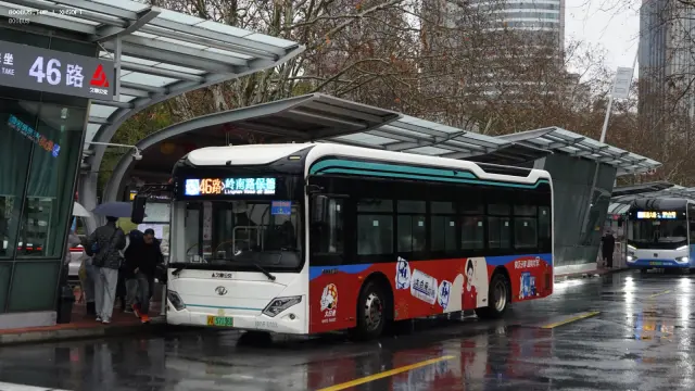 沪A 57136D