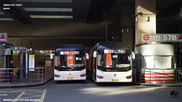 沪A 01264D