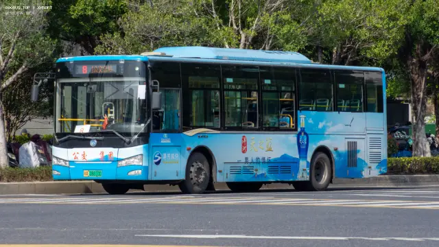 闽A 08810D