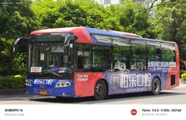 800BUS