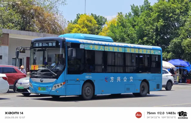 800BUS