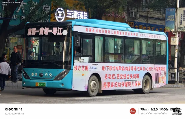 800BUS