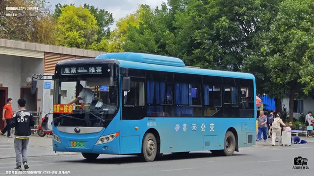 桂B 04897D
