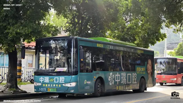 800BUS